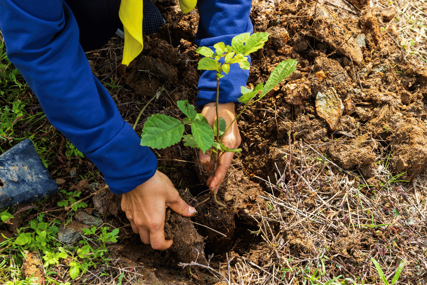 VESTI sremske nekretnine (2)
