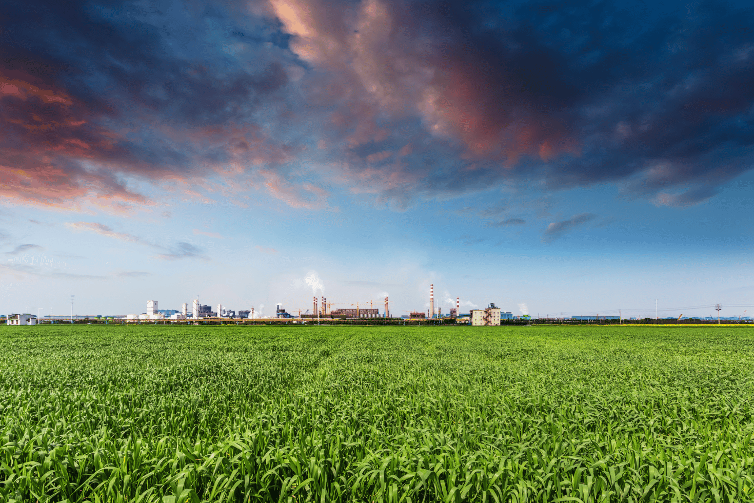 VESTI sremske nekretnine (6)